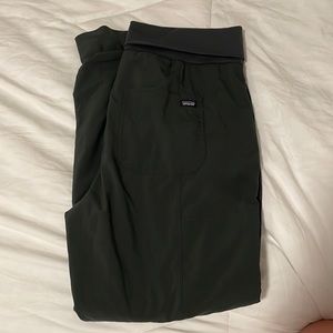 Patagonia lined joggers